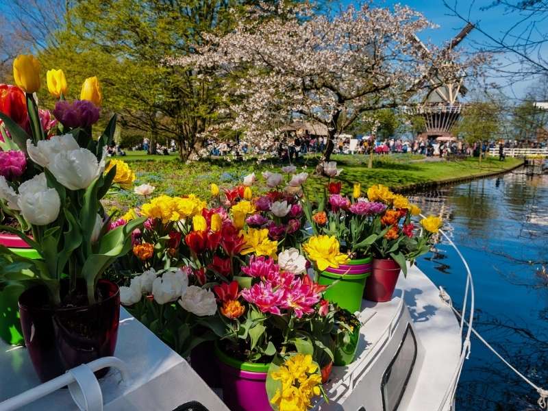 Keukenhof Boot mit Blumenfeld