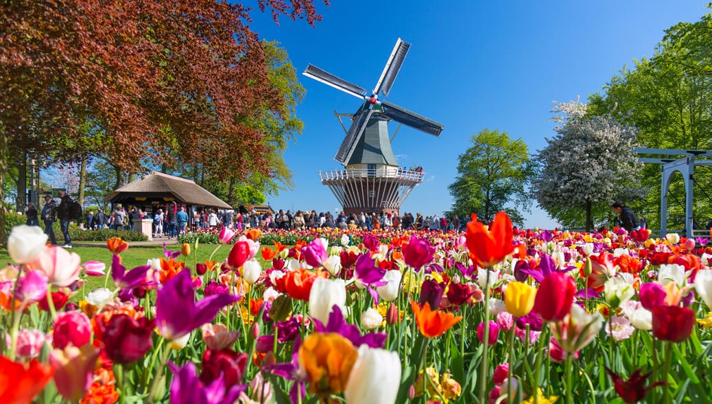 Keukenhof-Amsterdam-besuchen